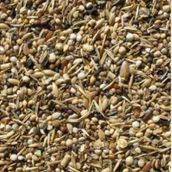 Sağlık Tohumu Kuş Yemi 60 Gr