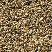 Sağlık Tohumu Kuş Yemi Yabani Sağlık Yohumu 250 Gr