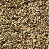 Sağlık Tohumu Kuş Yemi Yabani Sağlık Yohumu 500 Gram