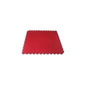 SALMAN SPOR Tatami Minder 100x100 13 Mm Kırmızı Tatami Minderi