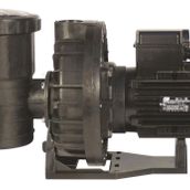 Santem Vısco 2 Hp 1.5 Kw Trifaze Havuz Pompası