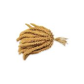 Sarı 250 gr Dal Darı