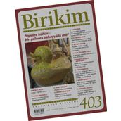 Sayı 403 Birikim Dergisi Birikim Yayınları