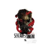 Şehzade Yangını 4. Kitap - Selçuk Ören
