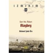 SEN NE ÂLASIN ALAYBEY - MEHMET ŞAKİR ÖRS