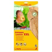 Sera 32 cm XXL Catappa Yaprağı