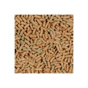 SERA Raffy P Sticks Nature 250 gr. SKT : 10/2027 Kaplumbağa Yemi