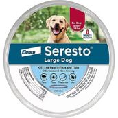 Seresto 70 cm Orta ve Büyük Irk Köpekler İçin Tasma
