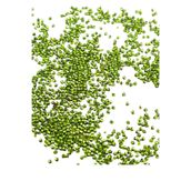 Serhat Aksesuar ve El İşçilik Güzel Yeşil 3 mm Plastik Boncuk Aksesuar Takı Malzemesi (25 Gr)