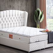 Setay Mobilya 180x200 cm Krem Nice Baza Başlık ve Real Pedli Yatak Seti