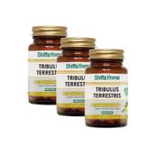 Shiffa Home Tribulus Terrestris Çoban Çökerten 3x60 Kapsül