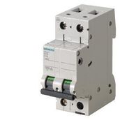 Siemens 5SL4216-7 10kA 16A 2 Fazlı C Tipi Yavaş Karakterli Otomat Anahtarlı Otomatik Sigorta