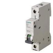 Siemens 5SL6125-7 25 Amper 1 Kutup 6 KA C Eğrisi Otomatik Sigorta