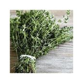Silifke Sepeti 250 gr Dağ kekiği