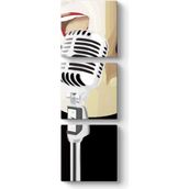 Singer Crazy Women Tablosu