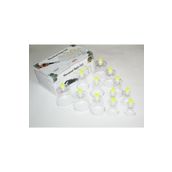 Skygo Hacamat 12'li Kupa Çekme Seti