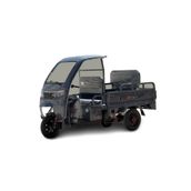 Skyjet Light Cargo Pro Kasalı 3 Tekerli Motosiklet