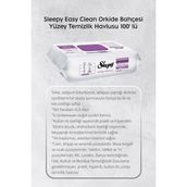 Sleepy Easy 100 Yaprak Clean Orkide Bahçesi Yüzey Temizlik Havlusu
