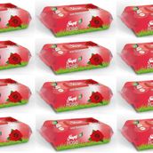 Sleepy Gül Kokulu 90x12'li 1080 Yaprak Islak Havlu