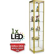 Smartad Camlı Vitrin - Cam Dolap - Camlı Koleksiyon Vitrini - Teşhir Vitrini - Kupa Dolabı 175x30x30 Gold