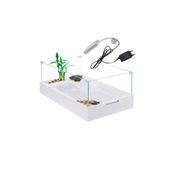 Sobo Cam Kaplumbağa Bahçesi Filtre-Lambalı 50x31x25