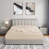 Soley Jersey 140x200 cm Bej %100 Pamuk Çift Kişilik Lastikli Çarşaf