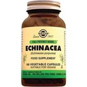 Solgar Echinacea 520 Mg 100 Kapsül (Nisan 2024 Miadli) - --