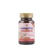 Solgar Kangavites Multivitamin Mineral 60 Tablet