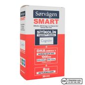 Sorvagen Smart Sitikolin DHA Omega 3 B12 2x30 Kapsül Balık Yağı