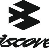 Sticker Masters Bajaj Discover Sticker