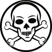 Sticker Masters Bone Skull Sticker