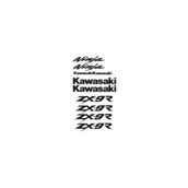 Sticker Masters Kawasaki Zx9r Sticker Set