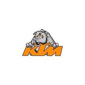 Sticker Masters Ktm Duke Pitbull Sticker