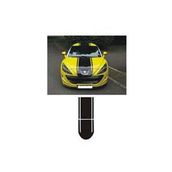 Sticker Masters Peugeot 307 Sticker Set