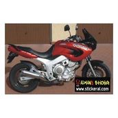 Sticker Masters Yamaha Tdm Sticker Set
