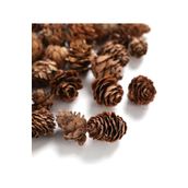 Südor Orta Boy 25 gr Doğal Çam Kozalakları