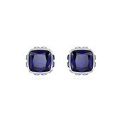 Swarovski 5660803 Kadın Küpe