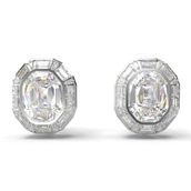 Swarovski 5669913 Kadın Küpe