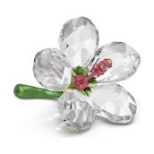 Swarovski 5690534 Florere Hibiscus S Biblo