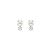 Swarovski 5694225 Kadın Küpe