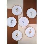 Tabak Evi Porselen Azelya Karma Pasta Tabağı Seti 19,50CM 6 Kişilik 6 Parça