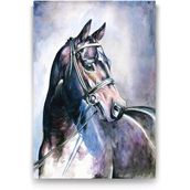 Tabloshop At 50x75 cm Tablo
