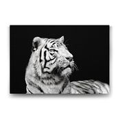 Tabloshop Beyaz Kaplan Profil 45x30 cm Tablo