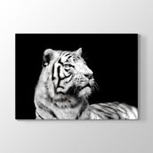 Tabloshop Beyaz Kaplan Profil 60x40 cm Tablo