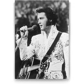 Tabloshop Elvis Presley My Way 80x125 cm Tablo