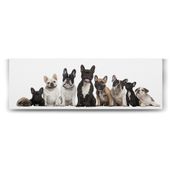 Tabloshop Fransız Bulldog Ailesi 120x40 cm Tablo