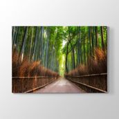 Tabloshop Japonya Bambu Tarlası 60x40 cm Tablo