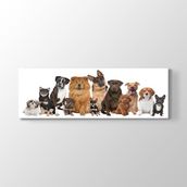 Tabloshop Köpek Irkları 180x60 cm Tablo