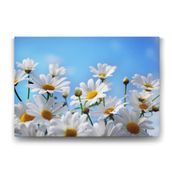 Tabloshop Papatya 140x100 cm Tablo
