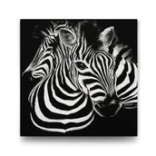 Tabloshop Siyah Beyaz Zebra 60x60 cm Tablo